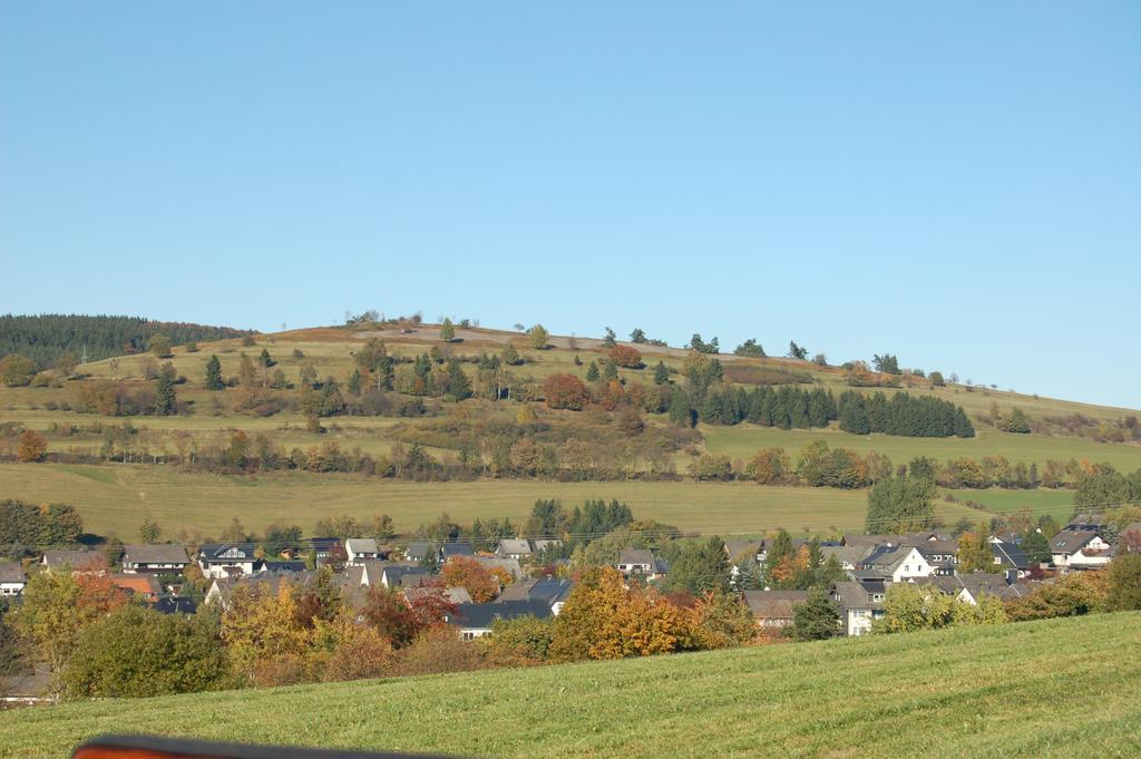 Westfalenhof Garni Willingen  Eksteriør bilde