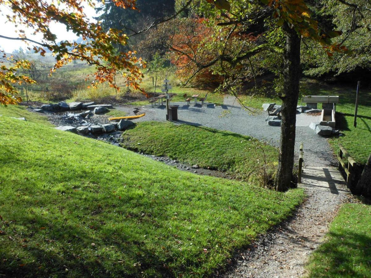 Westfalenhof Garni Willingen  Eksteriør bilde